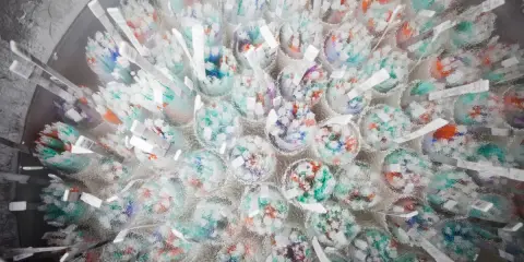 Grupo europeu pede limite de filhos por doador de esperma